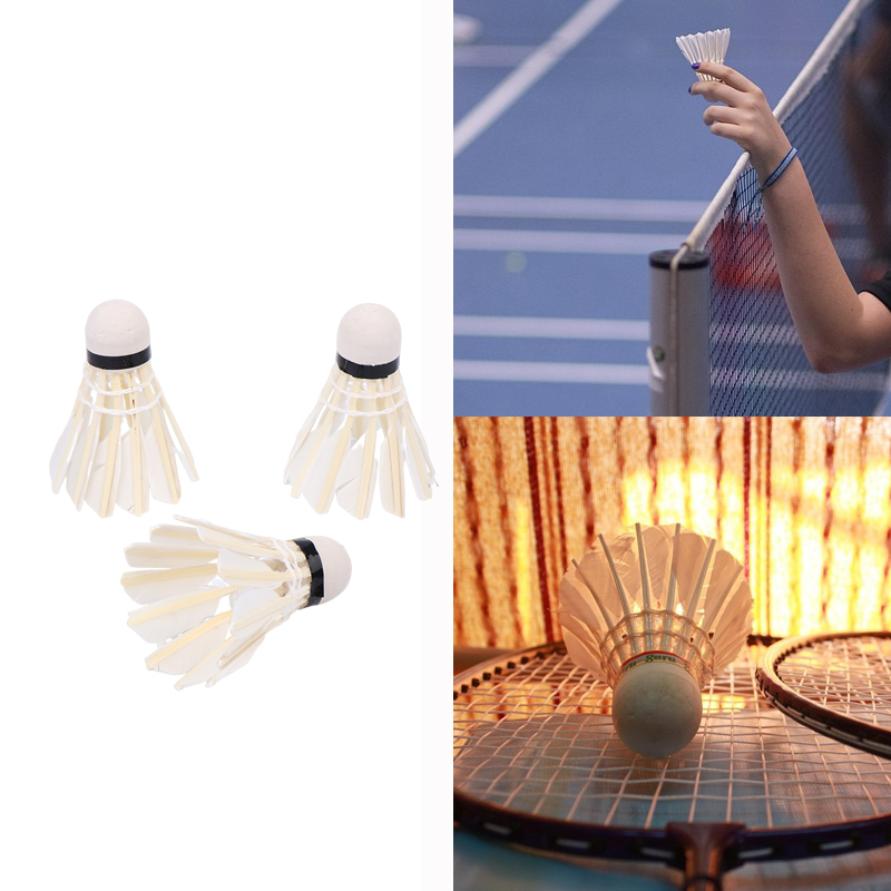 Volantes de bádminton profesio - Badminton Youth reseña y precio