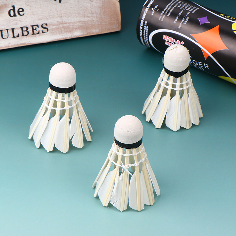 Volantes de bádminton profesio - Badminton Youth reseña y precio